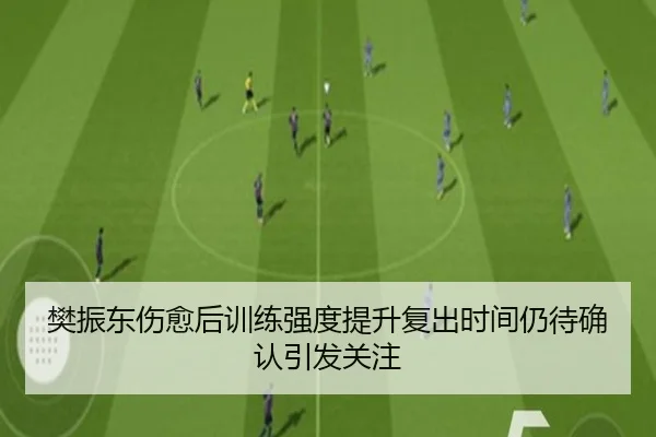 樊振东伤愈后训练强度提升复出时间仍待确认引发关注